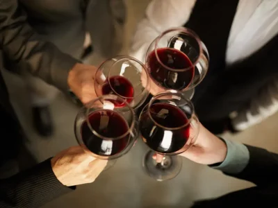 cata-vinos